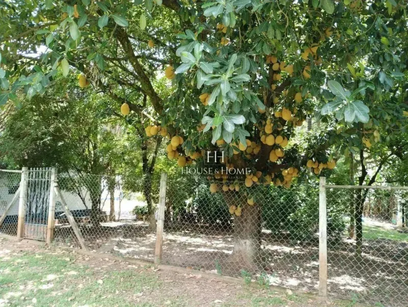 Chácara com 4 dormitórios à venda, 5000 m² - Recanto dos Pássaros - Indaiatuba/SP