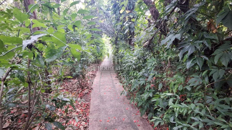 Charmosa Chácara com 4 dormitórios cercada de muito verde e tranquilidade