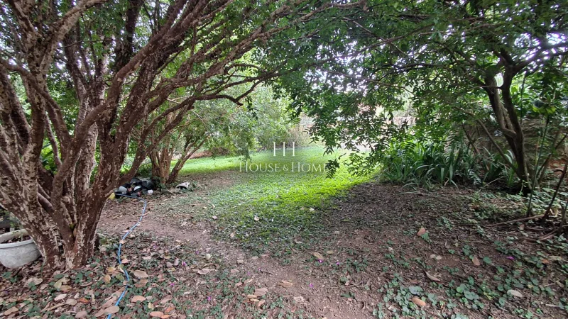 Charmosa Chácara com 4 dormitórios cercada de muito verde e tranquilidade