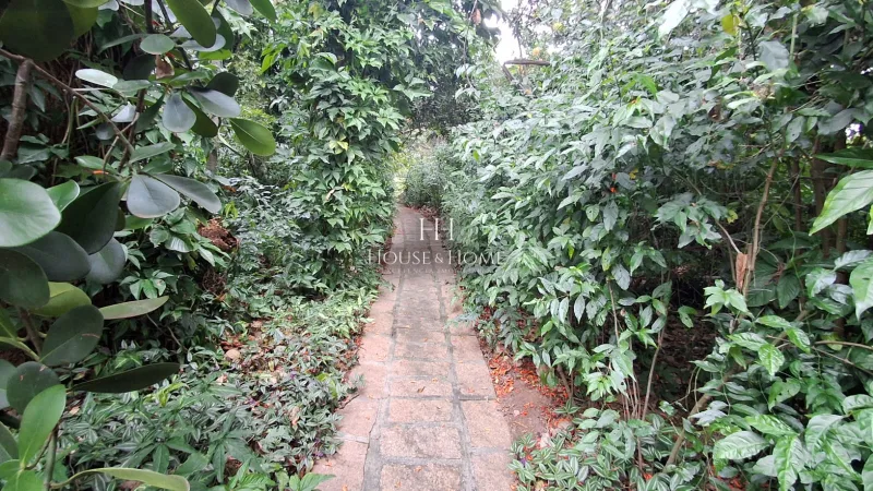 Charmosa Chácara com 4 dormitórios cercada de muito verde e tranquilidade